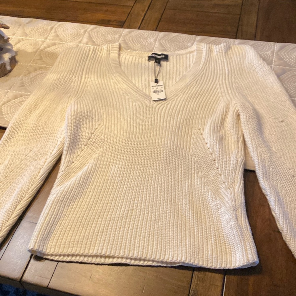 Express V-Neck sweater